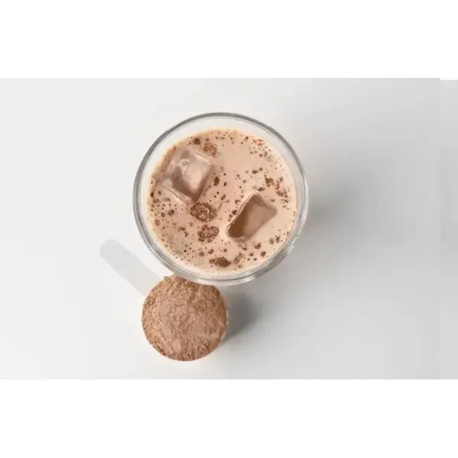 Batido Proteína Vegano, Sin Azúcar, 350g Sabor Chocolate