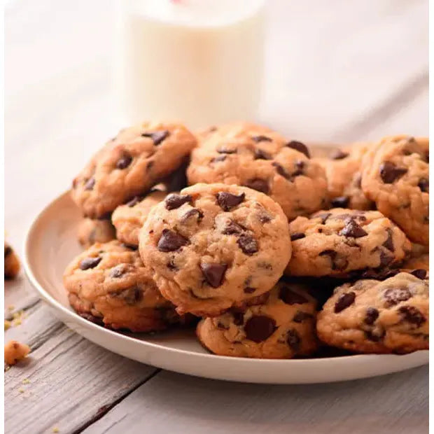 Galleta Sin Azúcar sabor Chocolate 120g