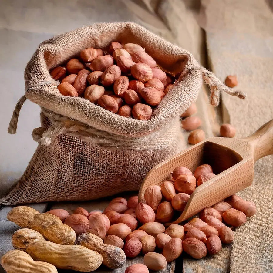 Barra Maní Cubierta Chocolate Sin Azúcar 20un De 34g